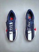 Nike Air Zoom Pegasus Plus - Azul Marinho/Branco